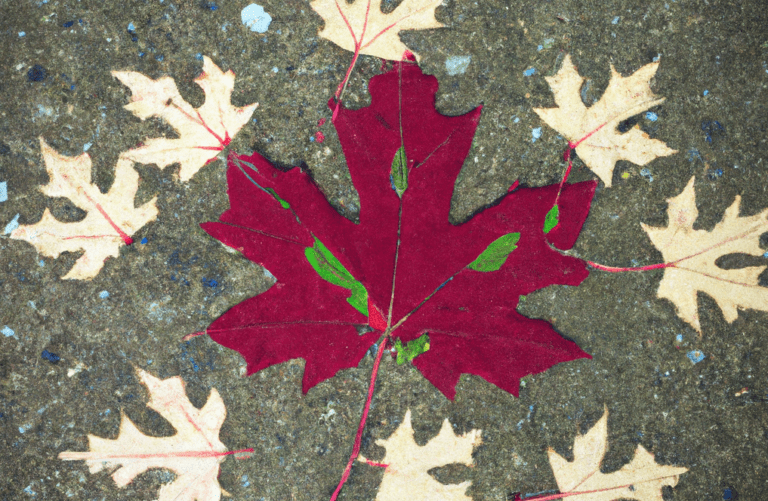 Canadian Dental Benefit: What Langley Families Need to Know